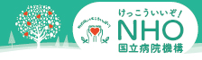 けっこういいぞ！NHO（看護師処遇について）